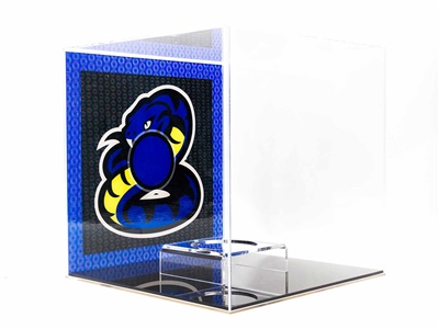 TECA PER PALLONE CON STAMPA UV